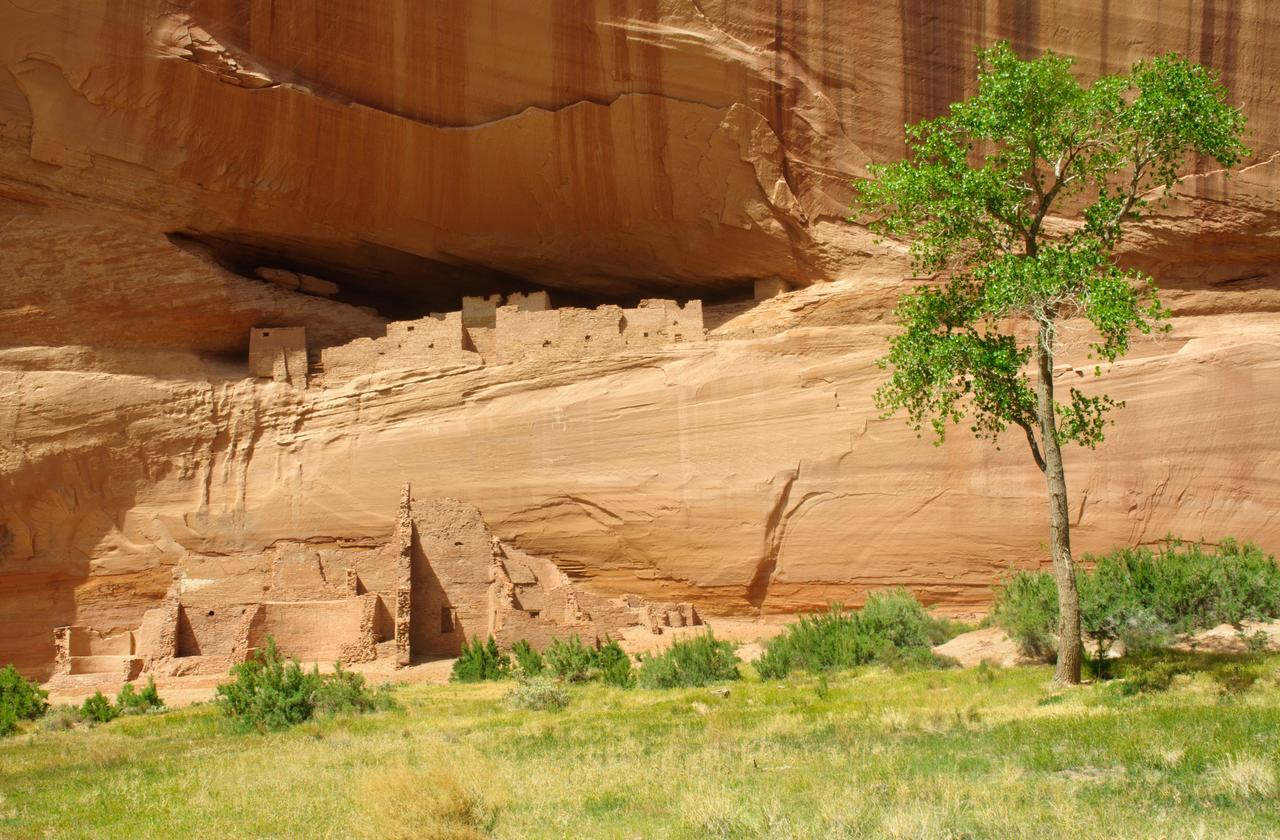 Thunderbird Lodge شينل المظهر الخارجي الصورة